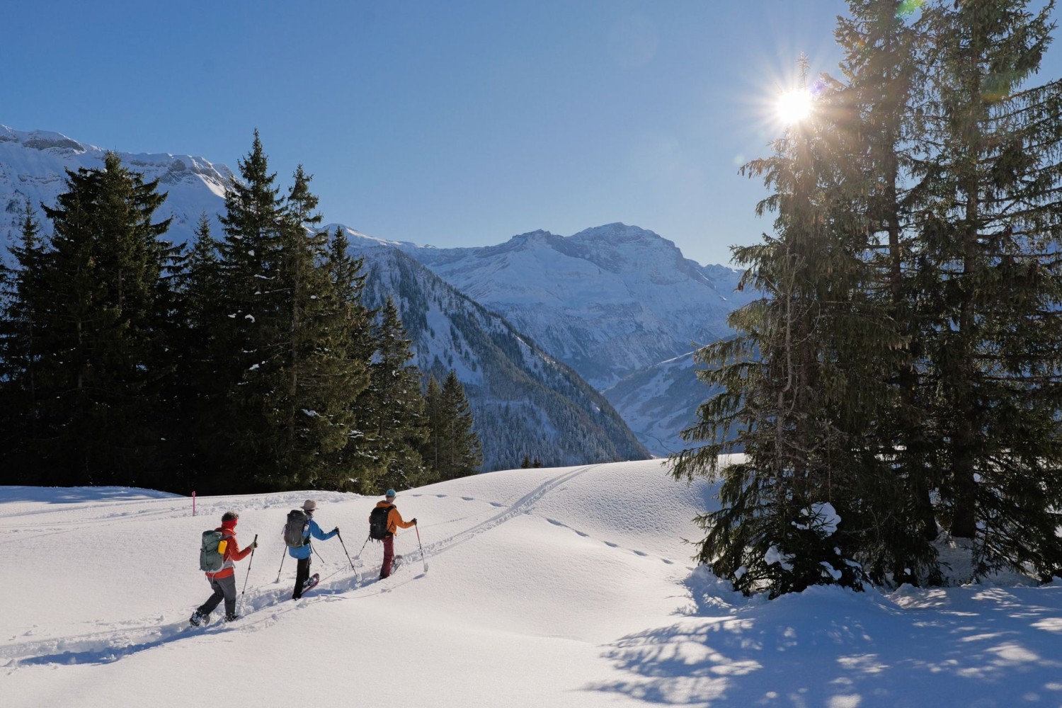 La descente près de Sattelberg
