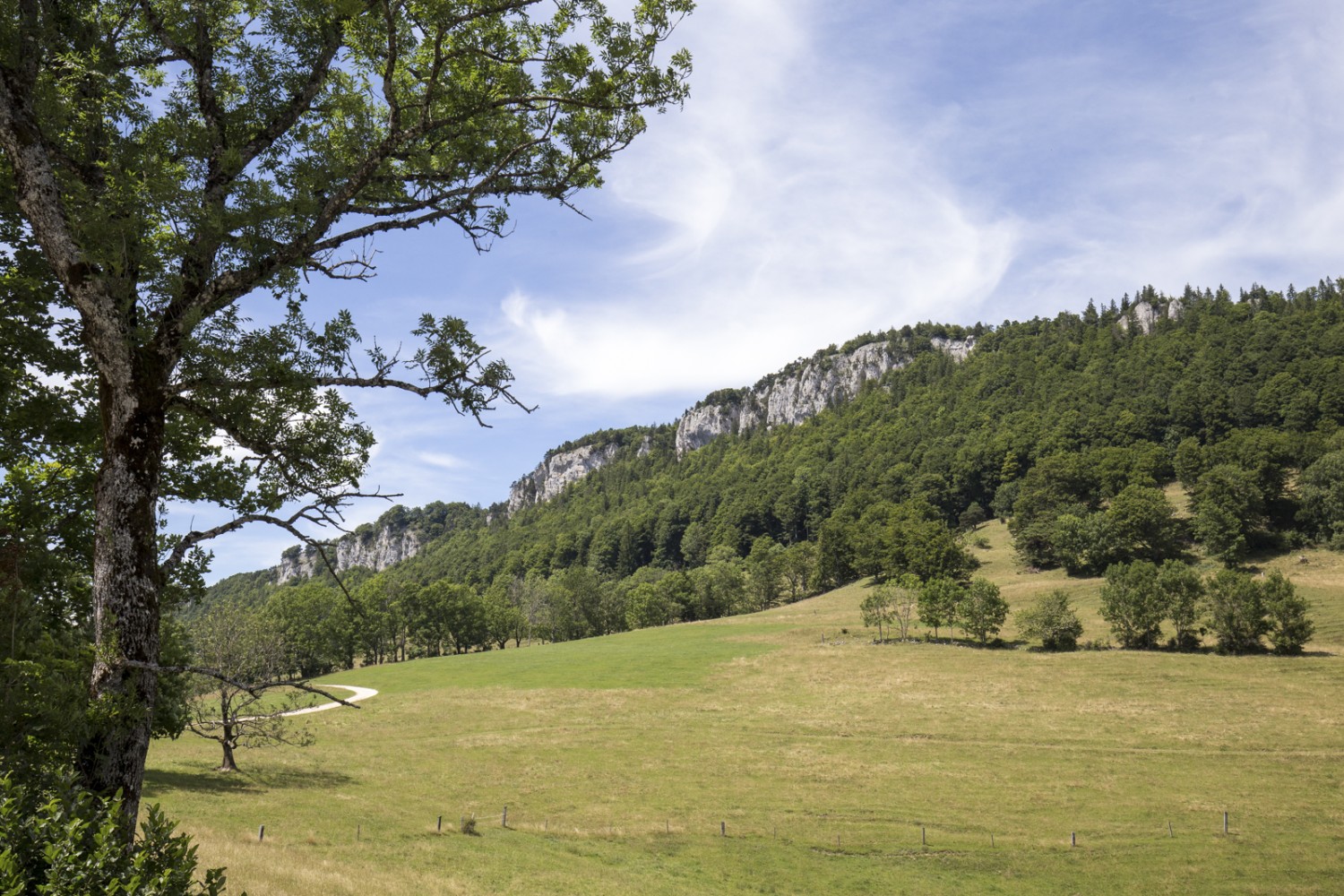 Regard en arrière sur la Chambenflüe depuis la pente douce du Hofbergli. Photo: Daniel Fleuti