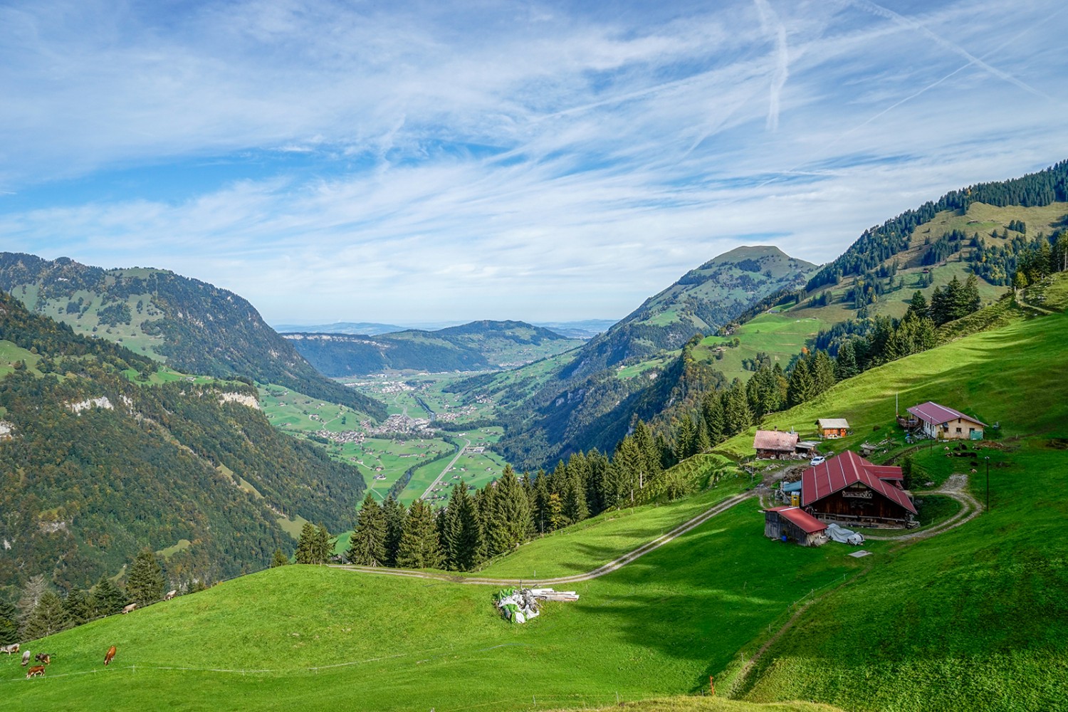 Vue du Wellenberg sur la vallée d’Engelberg, le Bürgenstock (au milieu) et le Buochserhon (à d.).
Photos: Fredy Joss