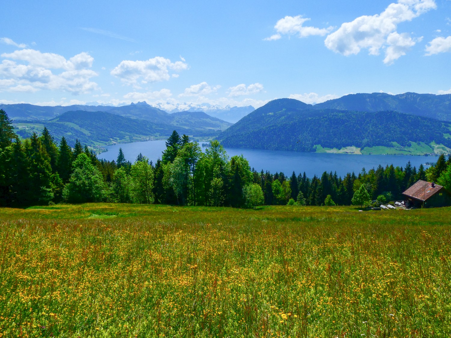 Malerische Aussicht auf den Ägerisee.
Bild: Rémy Kappeler