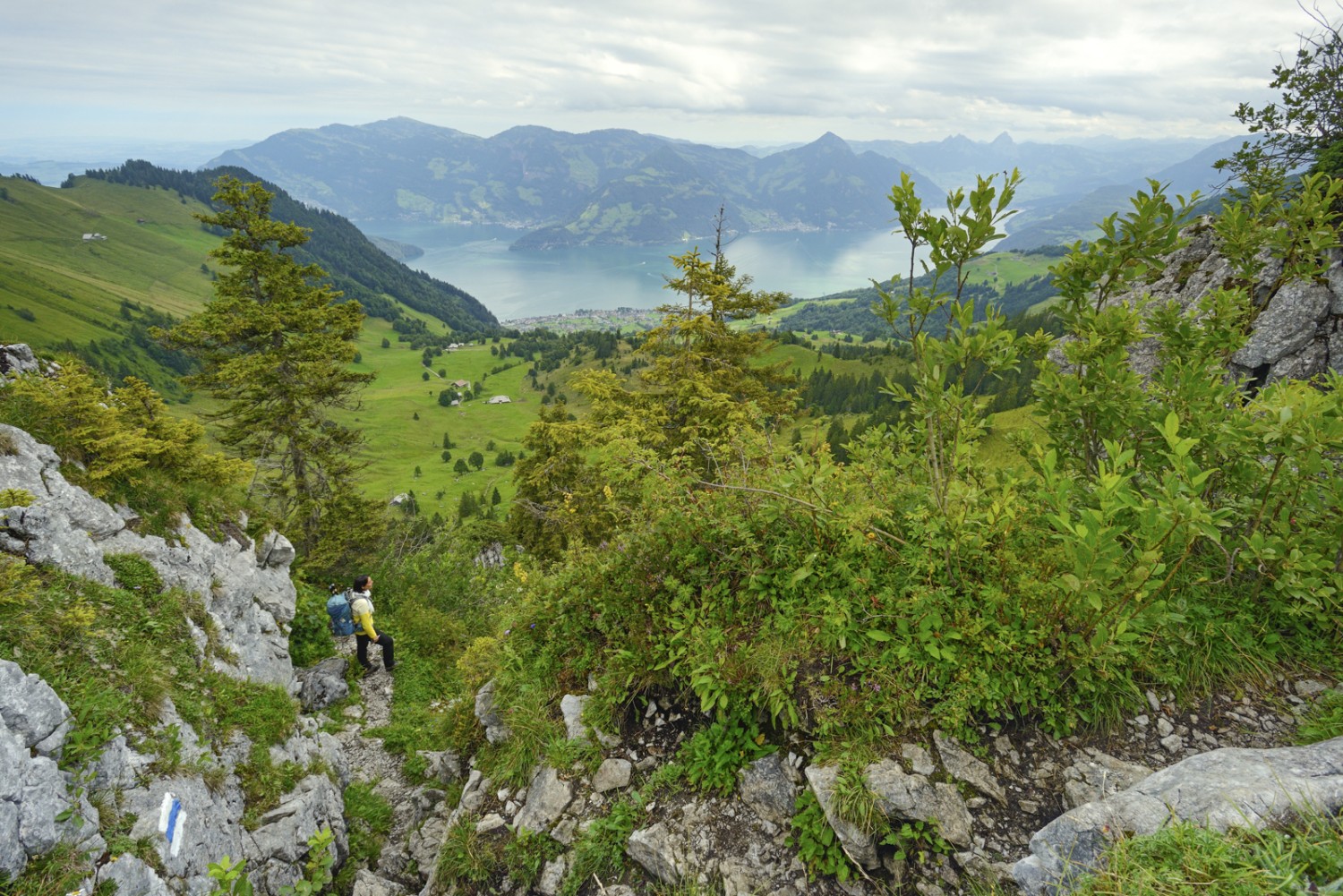 Vue sur les Alpes au-dessus de Beckenried et le lac des Quatre-Cantons. Photo: natur-welten.ch
