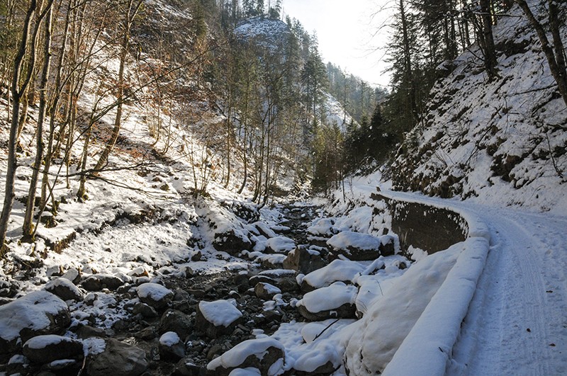 Es geht immer dem Wasser entlang.
Bild: Franz Müller