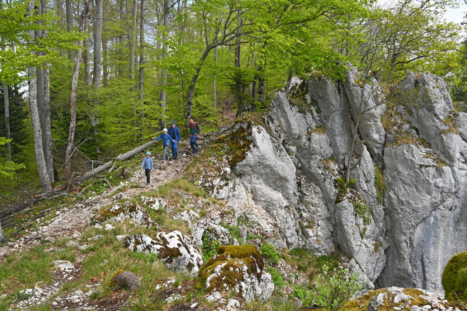 Schroffe Felsen, tiefer Abgrund: zwischen Remelspitz und Roti Flue.Bild: natur-welten.ch