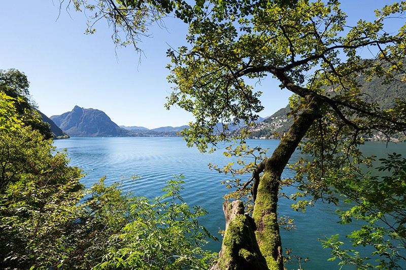 Un endroit idyllique au bord du lac.
Photos: Daniel Fleuti