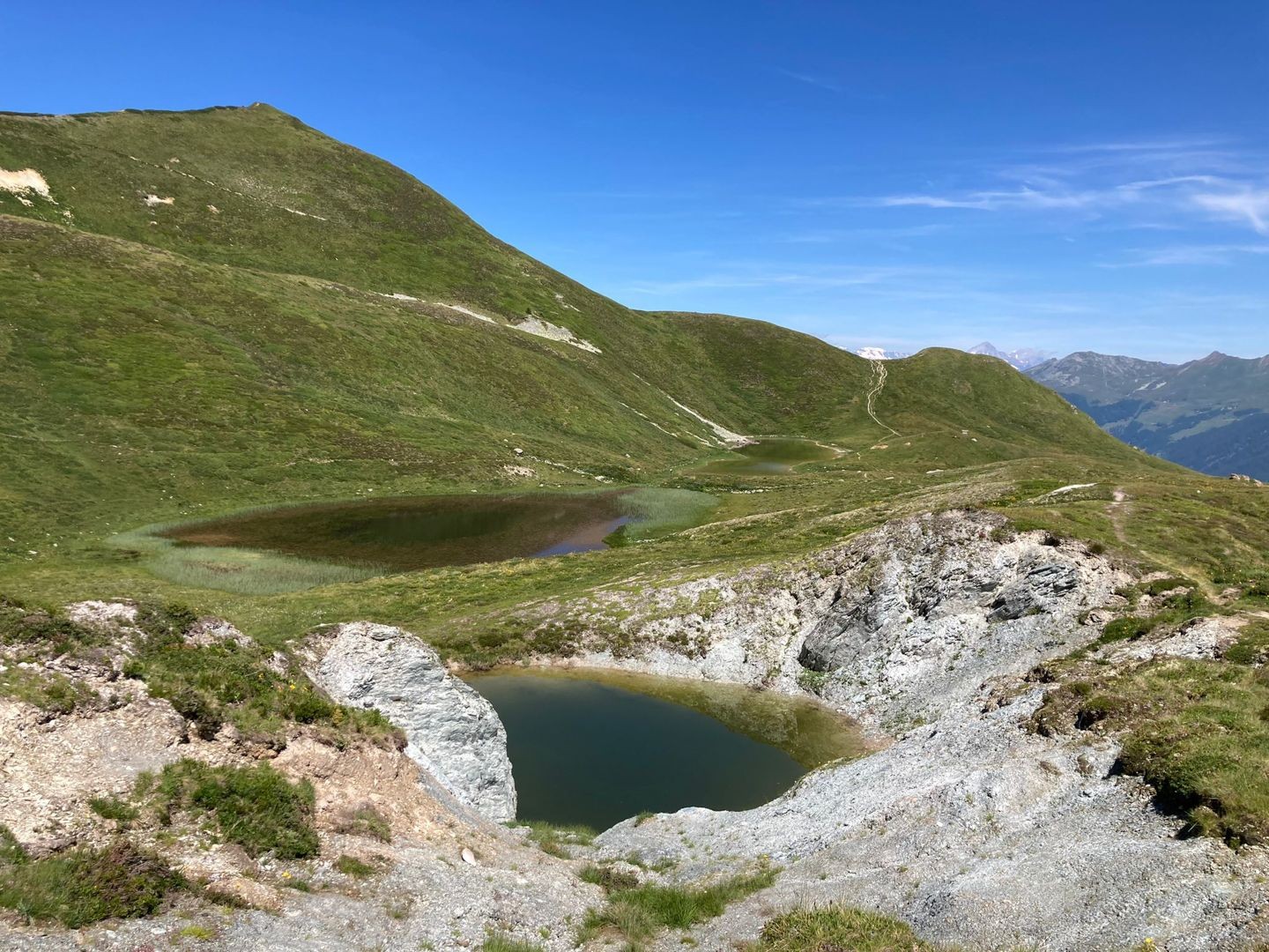Nichés à plus de 2300 mètres, ces petits plans d’eau sont un paradis pour les tritons et les grenouilles.