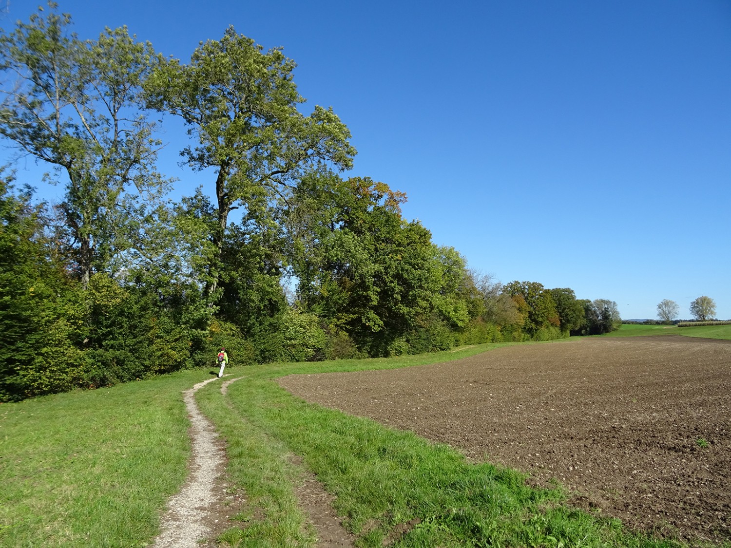 Bei Oberwynau führt ein einladender Uferweg der Aare entlang.
Bilder: Sabine Joss

