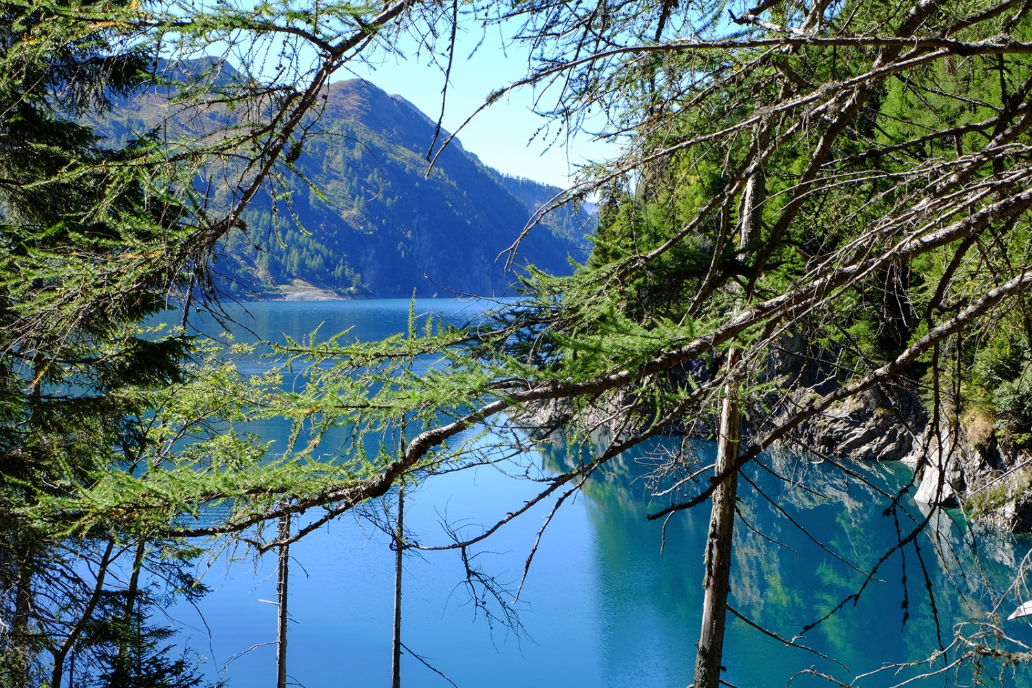 Blau wie ein Enzian. Der Lago di Luzzone, das Ziel der Wanderung, liegt 600 Meter unterhalb der Greina.
