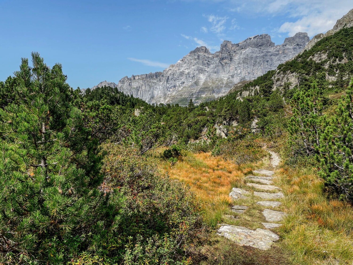 Das Hochmoor In Miseren kontrastiert eindrücklich mit der Gadmerflüö.