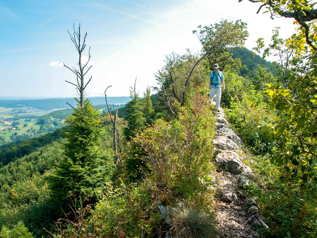 Zu beiden Seiten des Grates erstrecken sich Ausblicke auf die Alpen, den Rhein und ins Deutsche. 
Bild: Andreas Wipf
