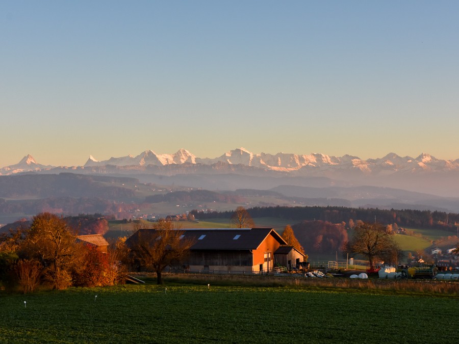 Pas loin de la ville, mais les Alpes en pleine vue. Photo: Alexandra Blatter