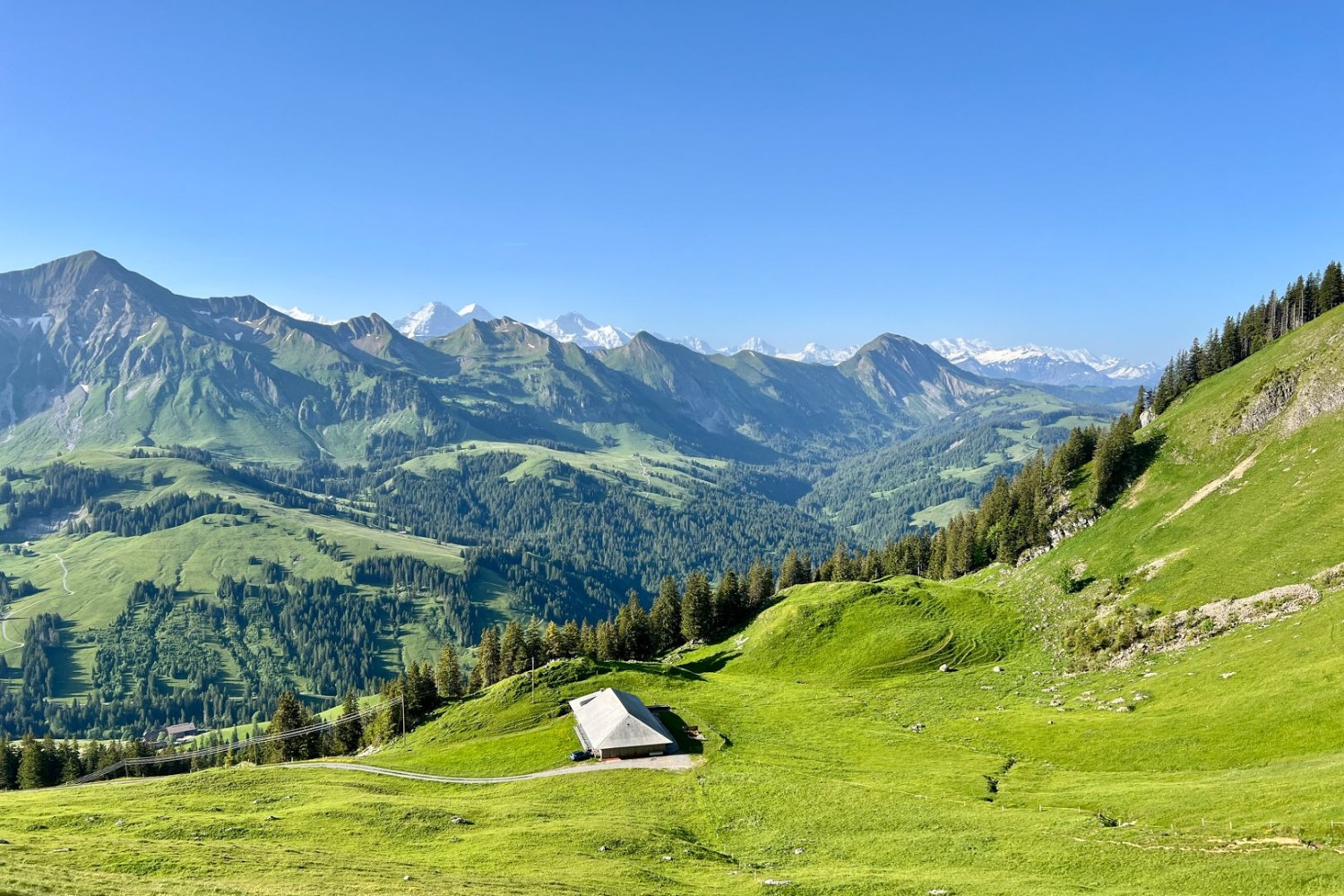 Au sud, on aperçoit les Alpes blanches derrière la chaîne verte qui va du Tannhorn (à gauche) à l’Augstmatthorn.