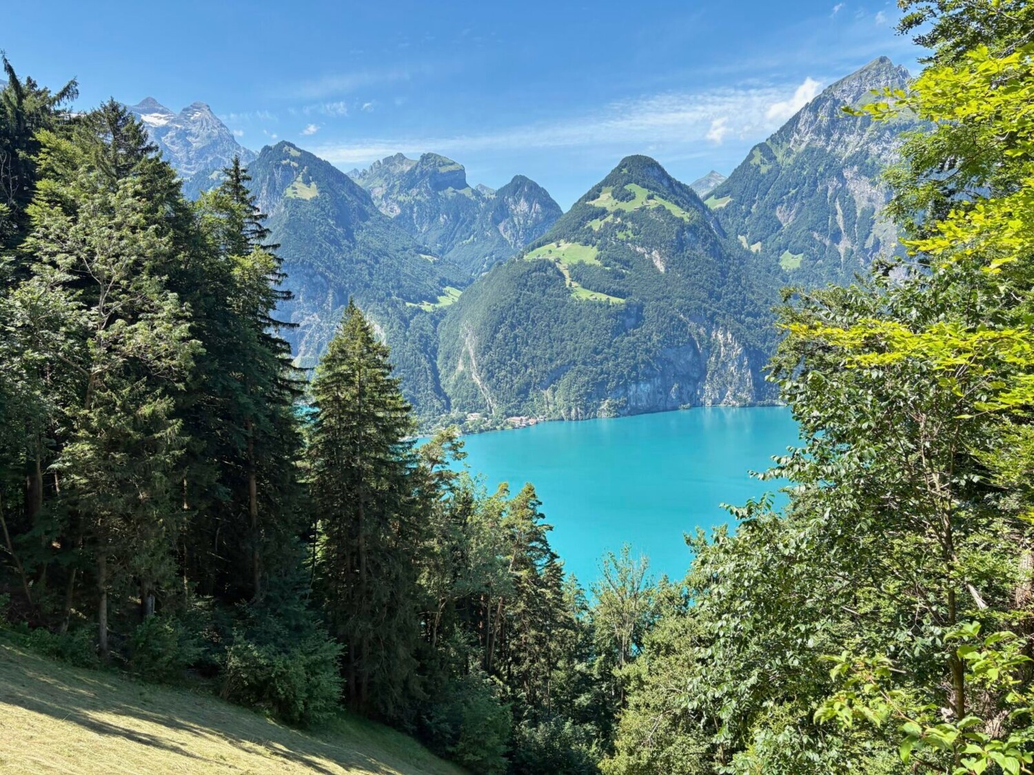 Auch hier bieten sich wieder tolle Ausblicke. Beeindruckend auch die steilen Wiesenhänge, an denen geheut wird.