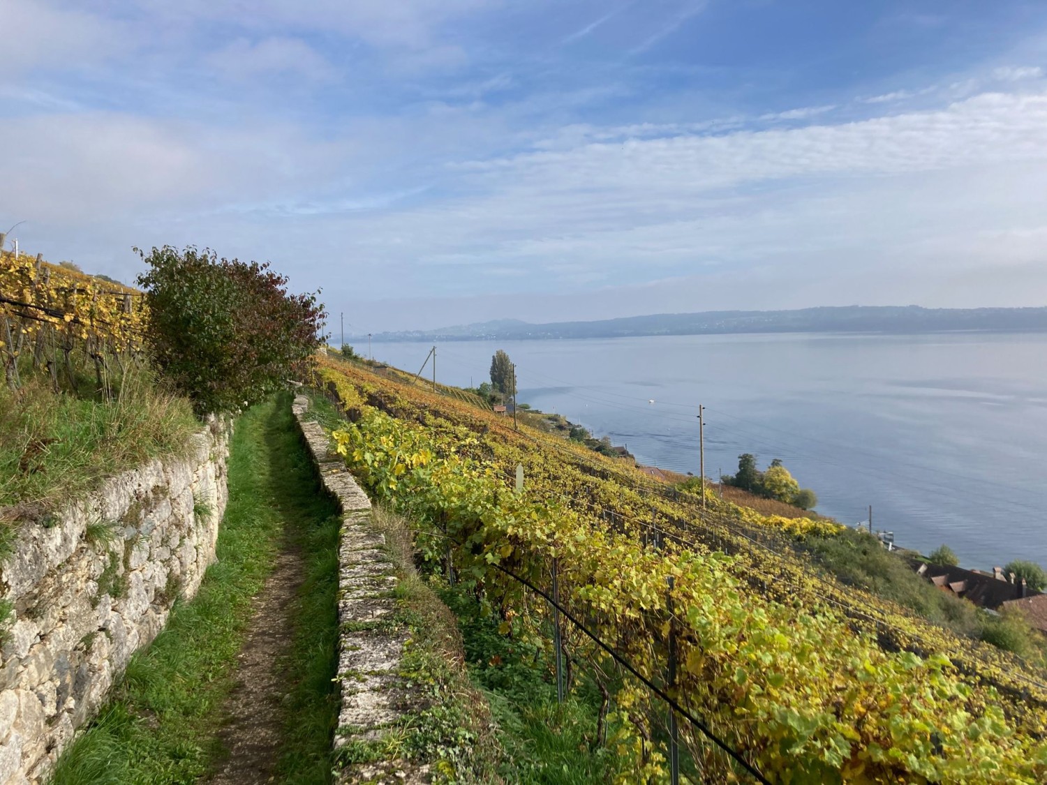 Sur le chemin de pèlerins Via Jacobi, à travers le vignoble