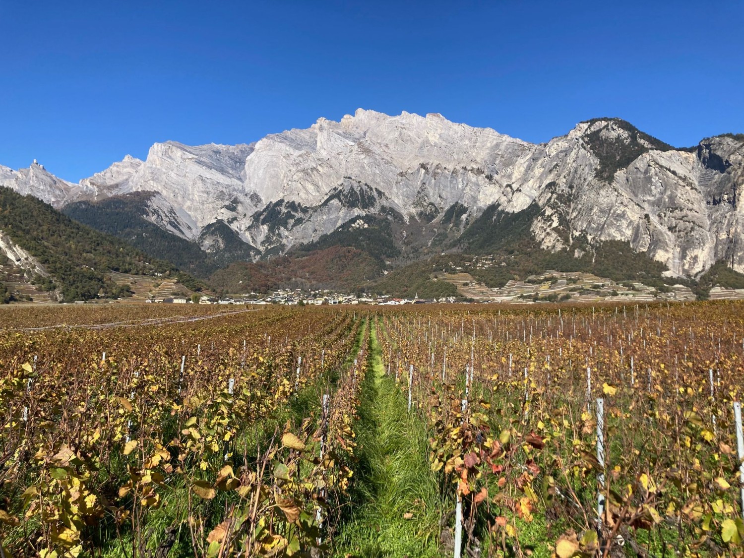 Chamoson, au pied du Haut de Cry