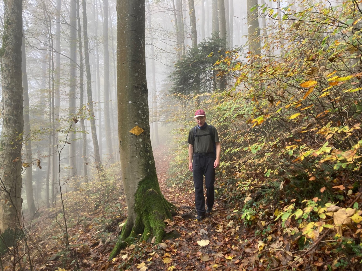 Après le petit col de la Homberglücke