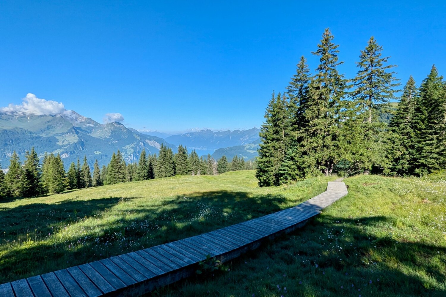 Entre Käserstatt et Vordere Staffel, le chemin a été parfaitement aménagé à travers la zone marécageuse.