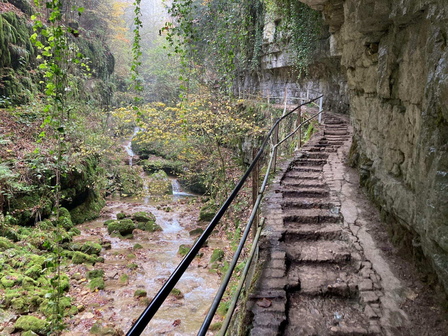 Dans les gorges de Douanne