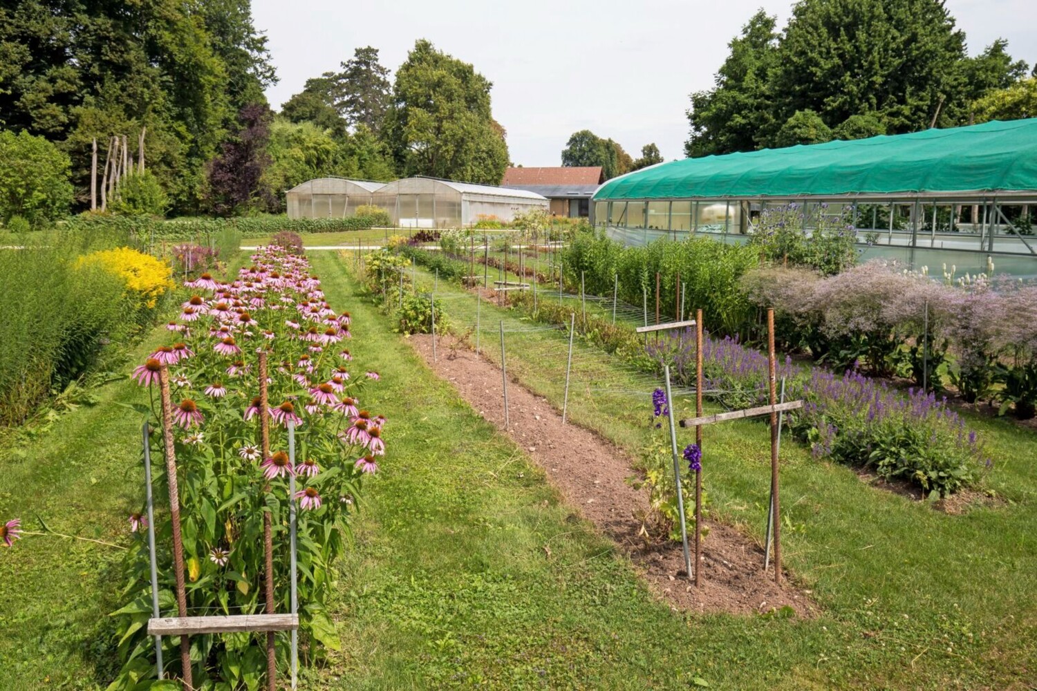 Cette randonnée urbaine commence aux jardins Merian.