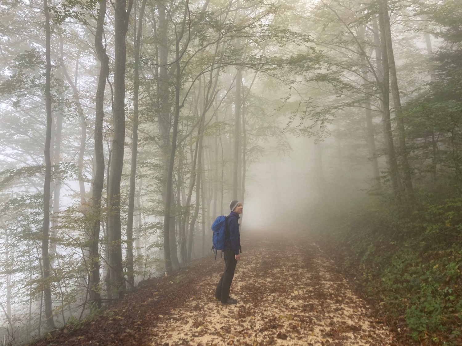 Brume mystique sur le Hauenstein