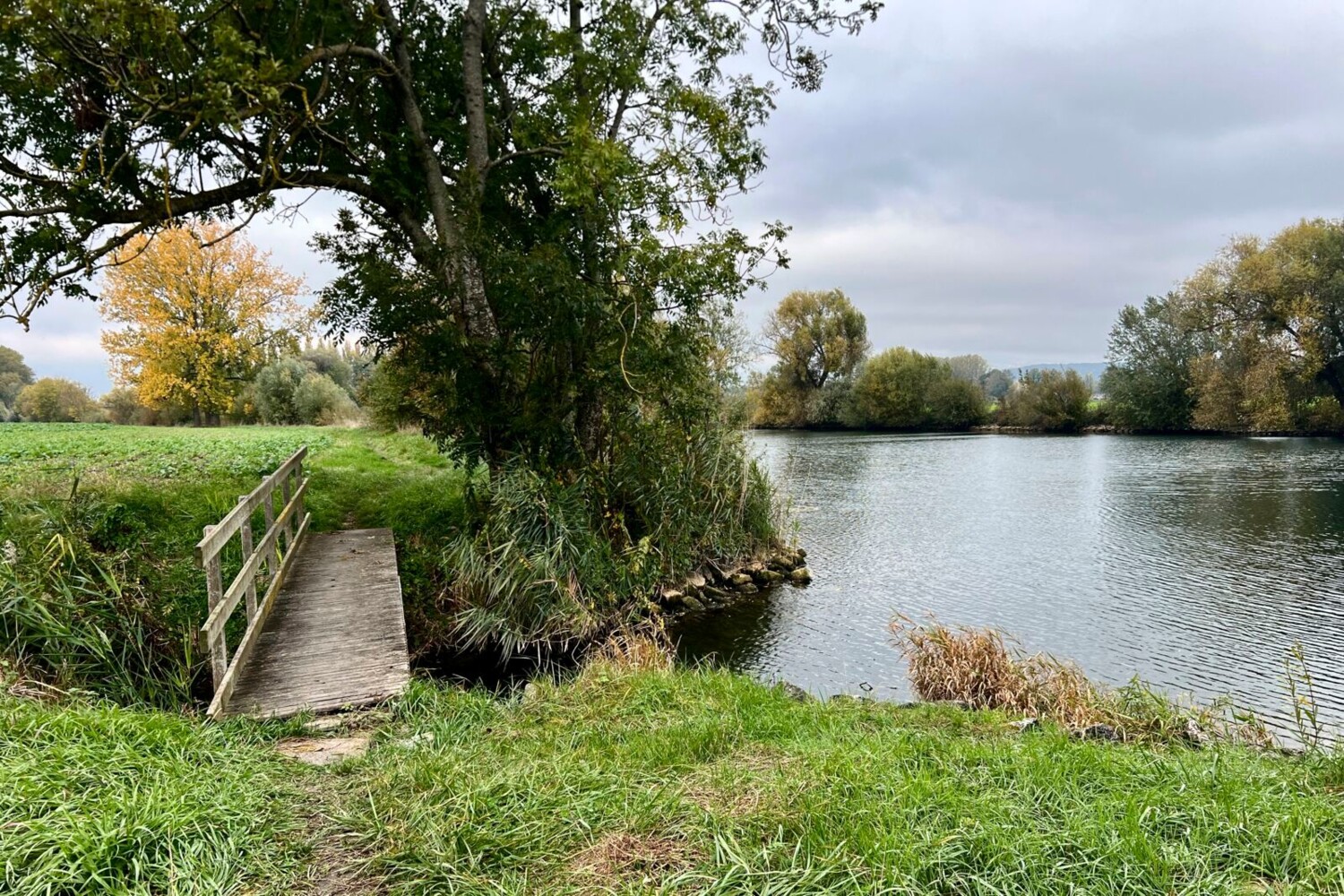Le sentier est parfaitement aménagé le long du canal de la Broye.