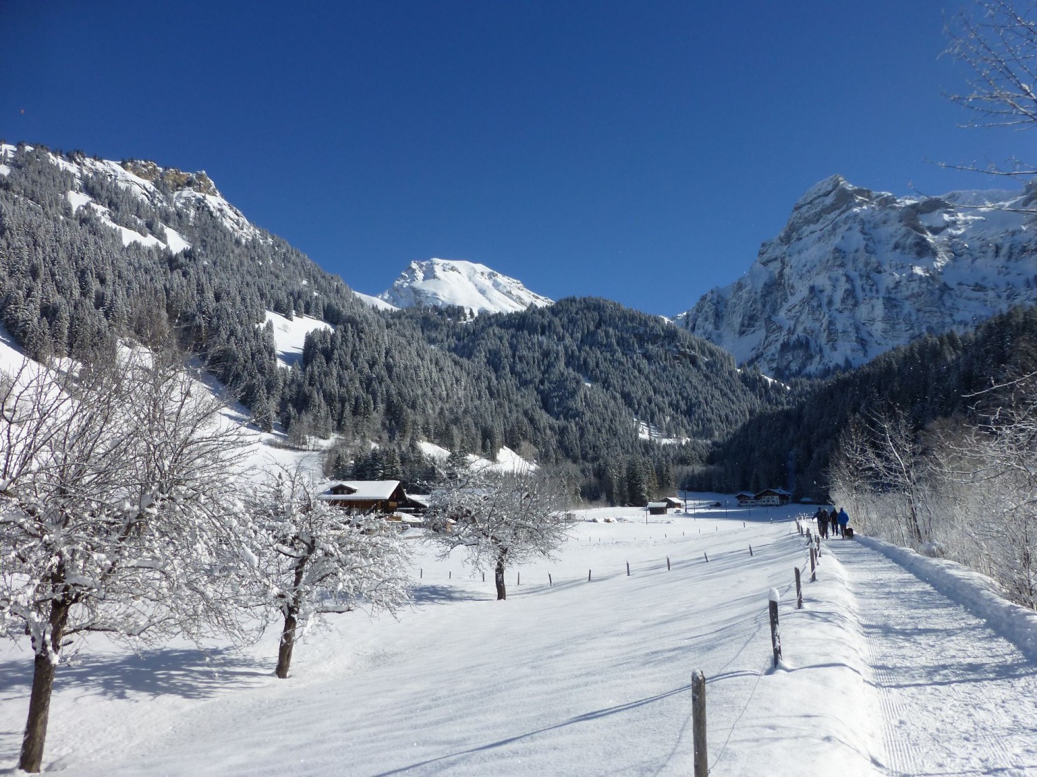 Auf dem Simme-Uferweg, Blick taleinwärts zum Wildstrubel.