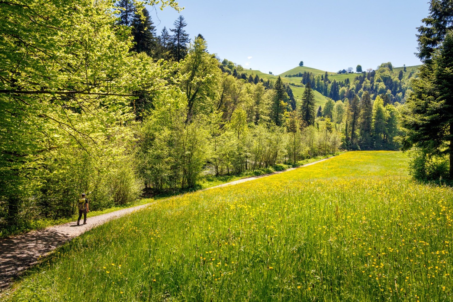 Entre Sihlsprung et Sihlbrugg, la vallée de la Sihl est particulièrement pittoresque et préservée.