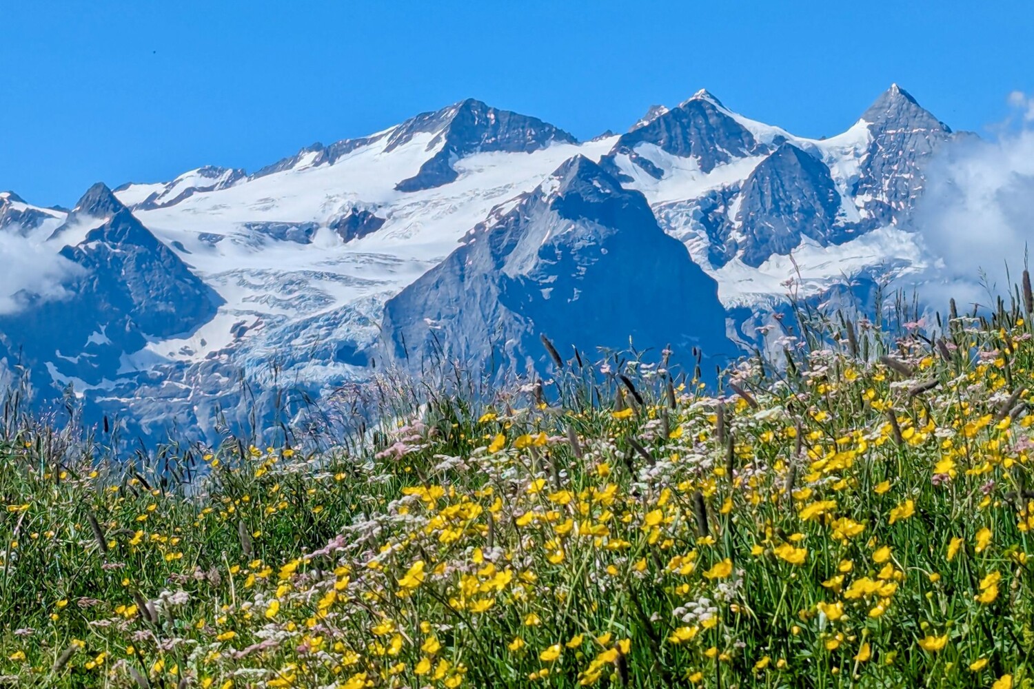 Vue sur le grand glacier Rosenlouwi (à gauche).