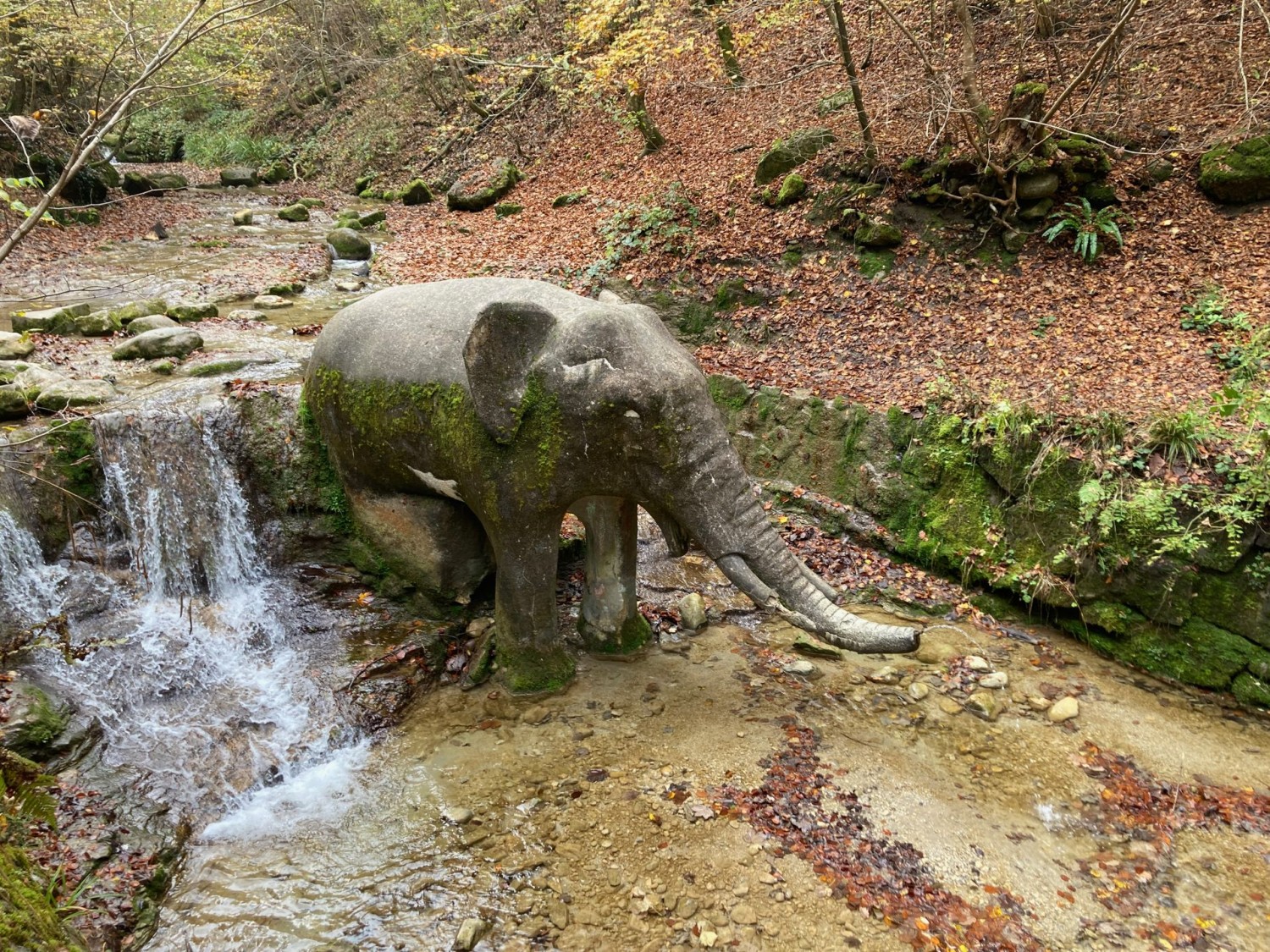 Une rencontre inattendue au Stöckentobel