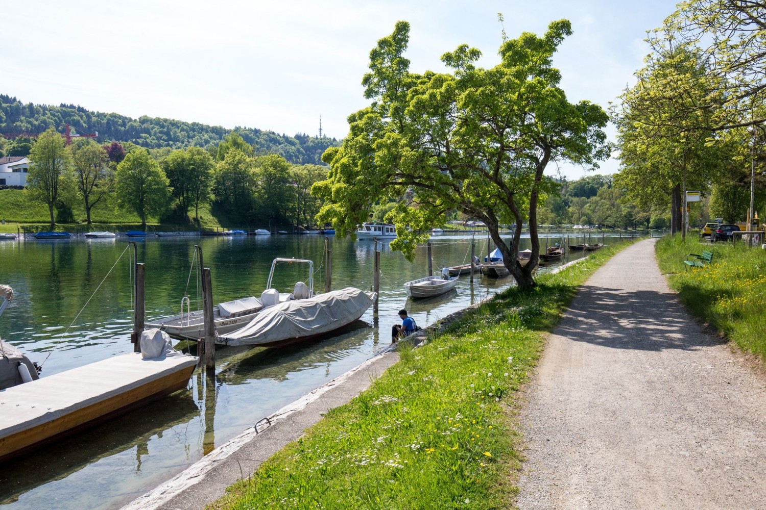 Un large chemin rejoint la vieille ville de Schaffhouse, presque toujours au bord du fleuve.