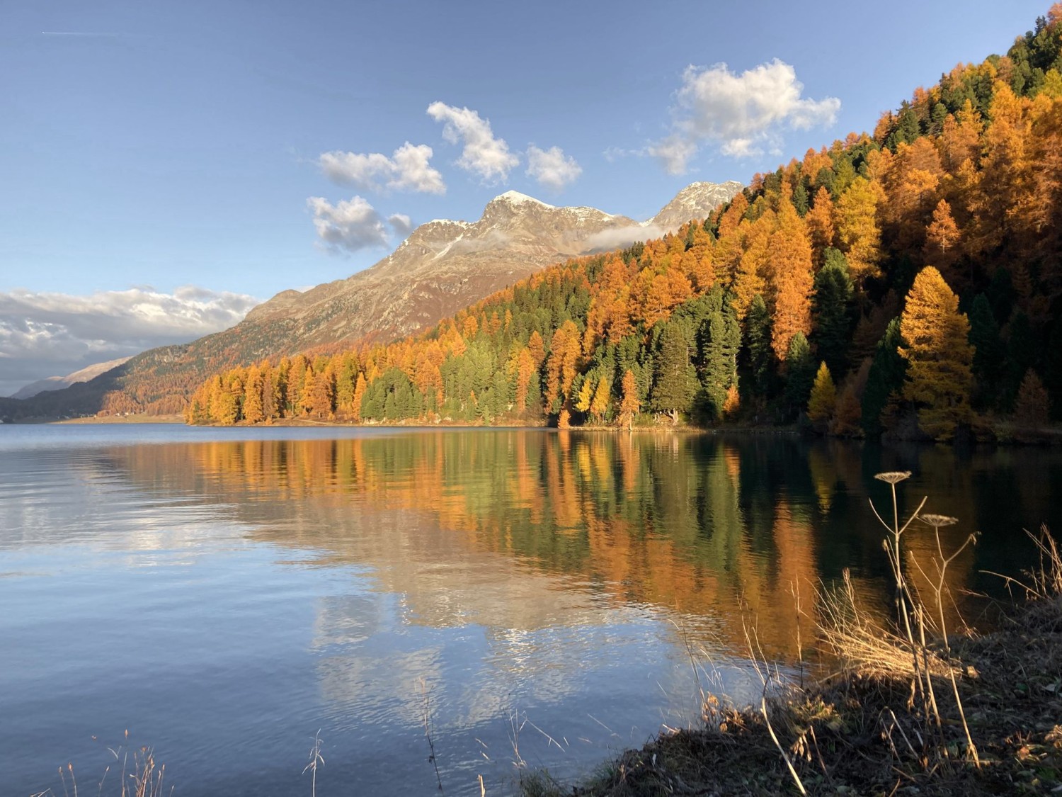 Sur la rive sud-ouest du lac de Silvaplana