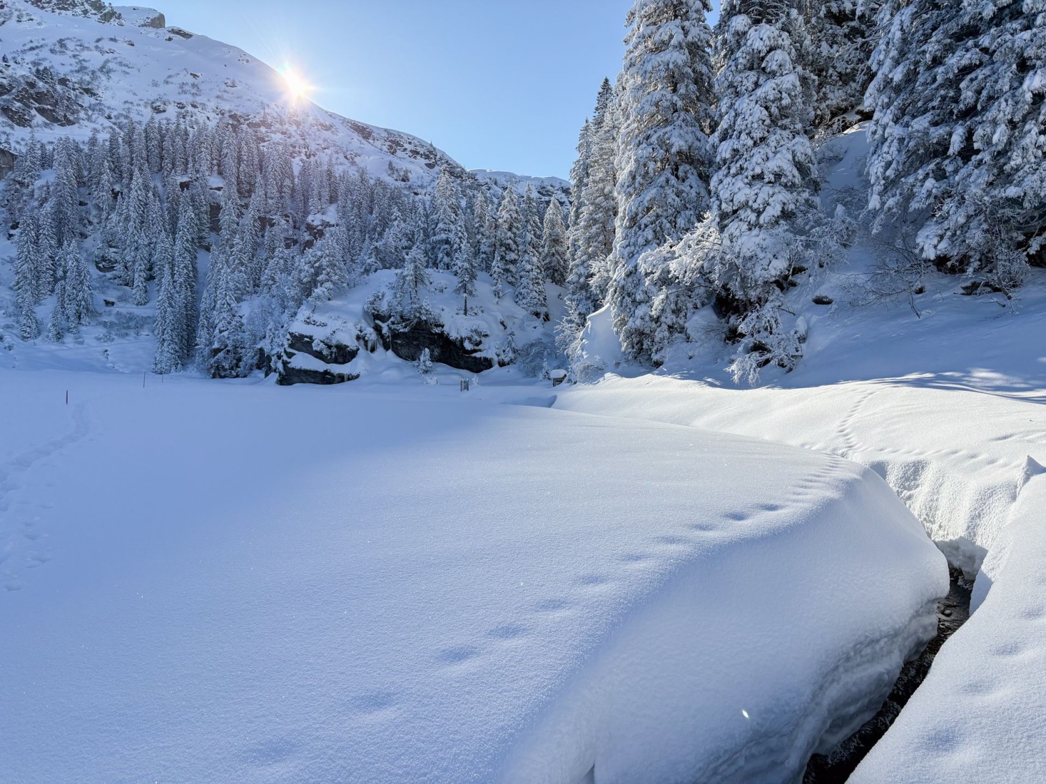 Le ruisseau creuse un profond fossé dans la neige.
