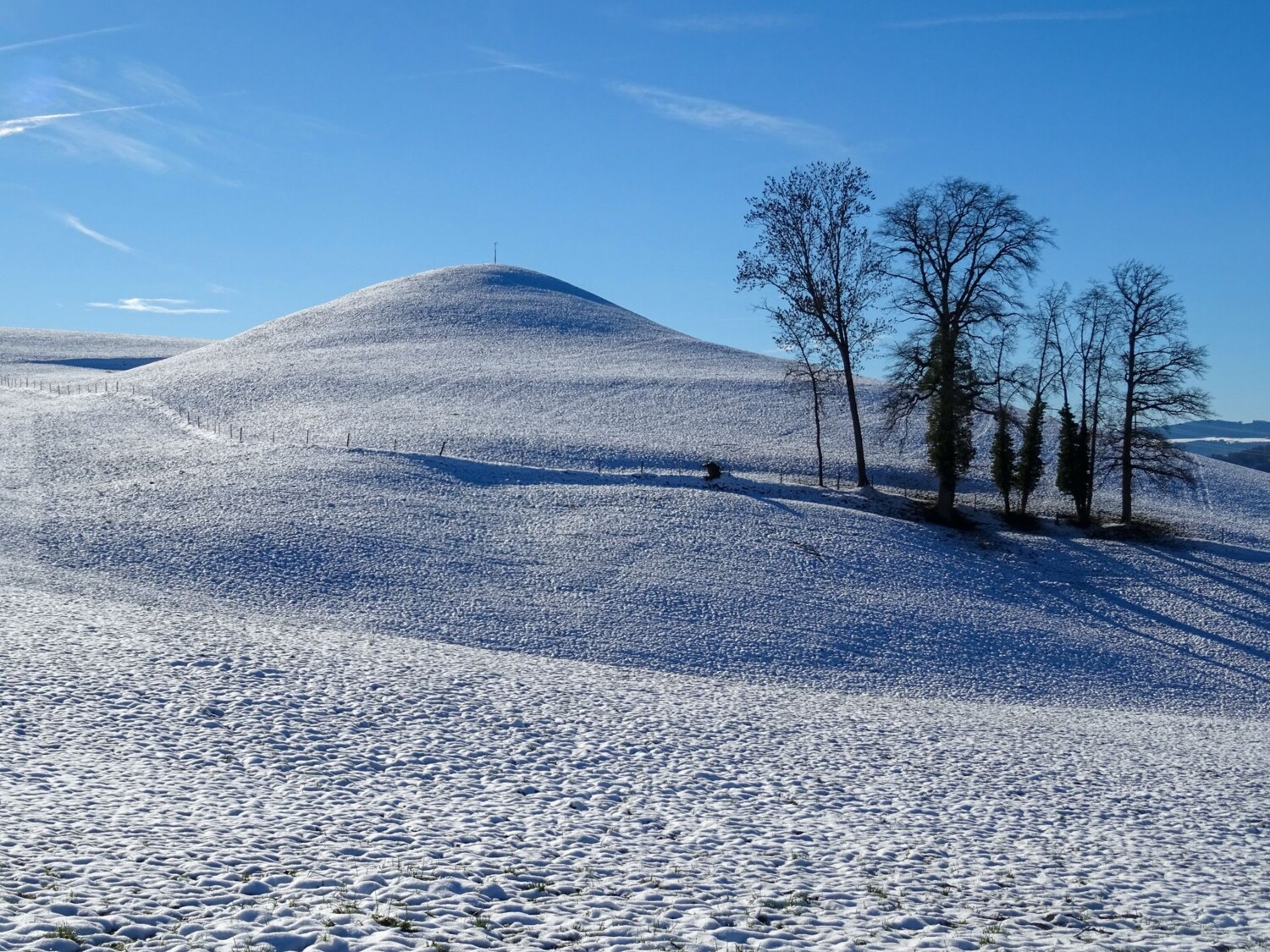Vom eiszeitlichen Rhonegletscher hinterlassener Kame.