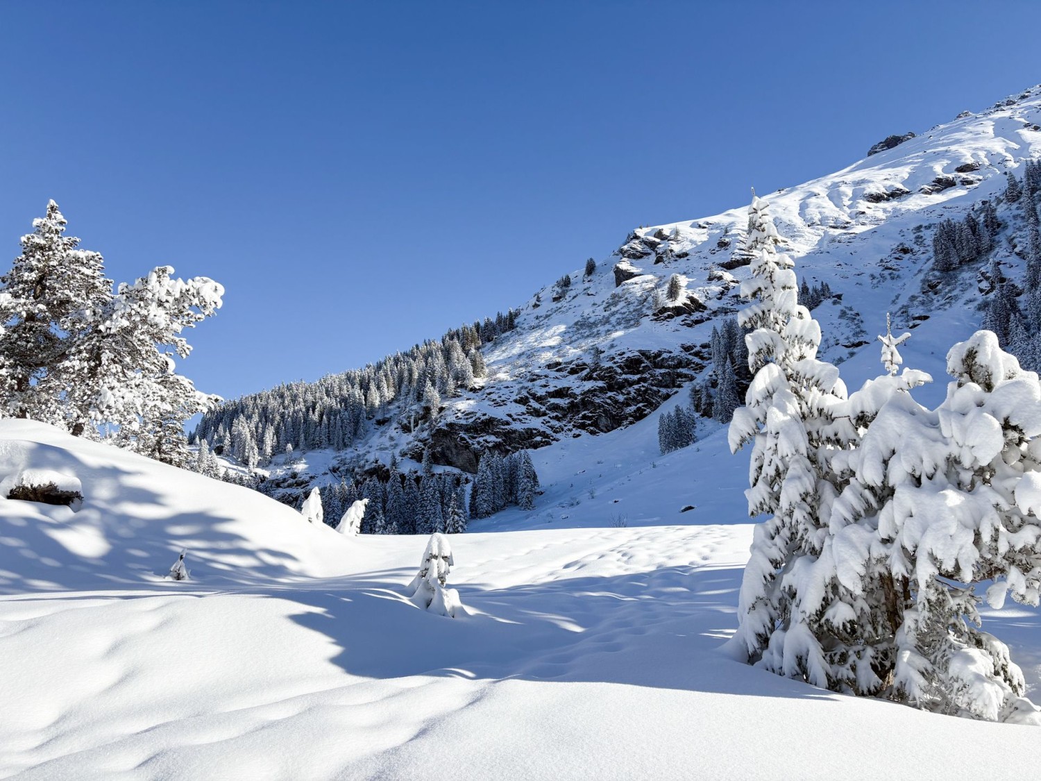 Haut marais enneigé du Mettmenalp