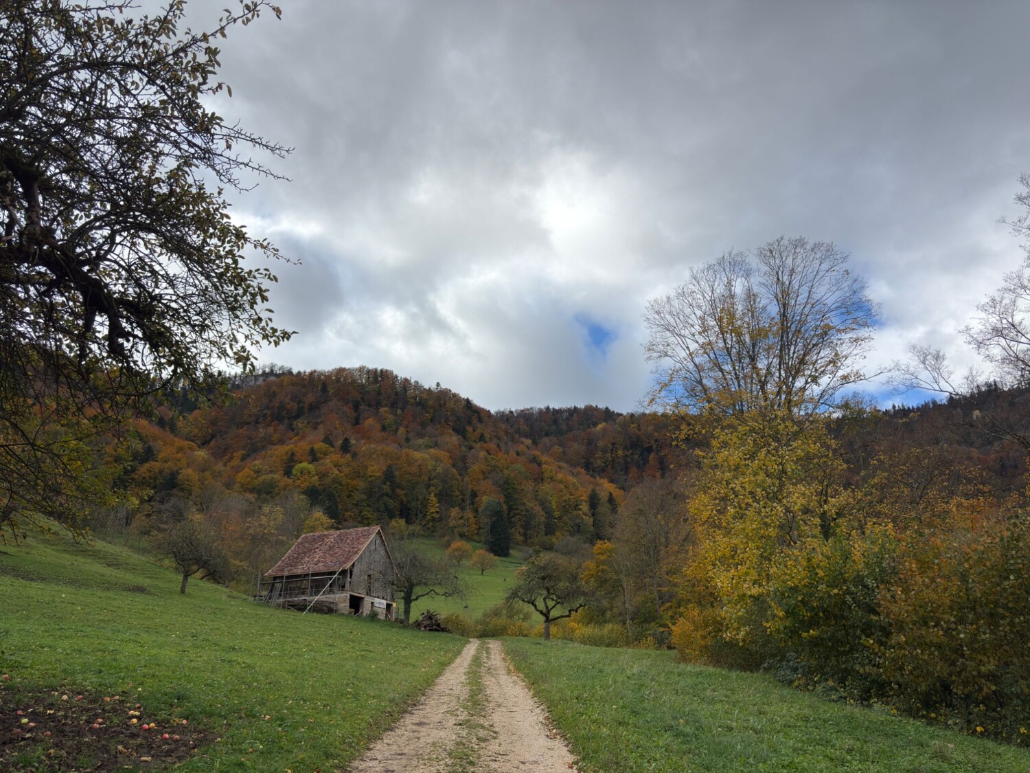 L’itinéraire emprunte d’abord des chemins de prairie et de terre.