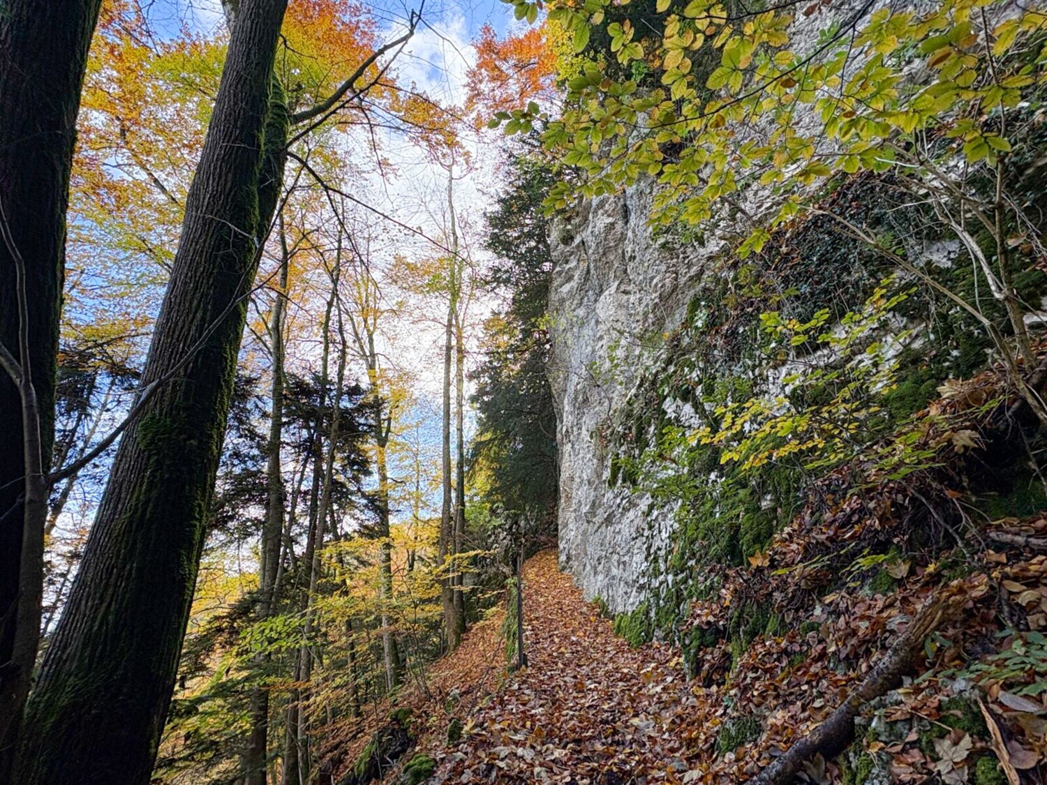 Dans la montée en direction de Vögeli, le chemin devient plus raide et plus étroit.