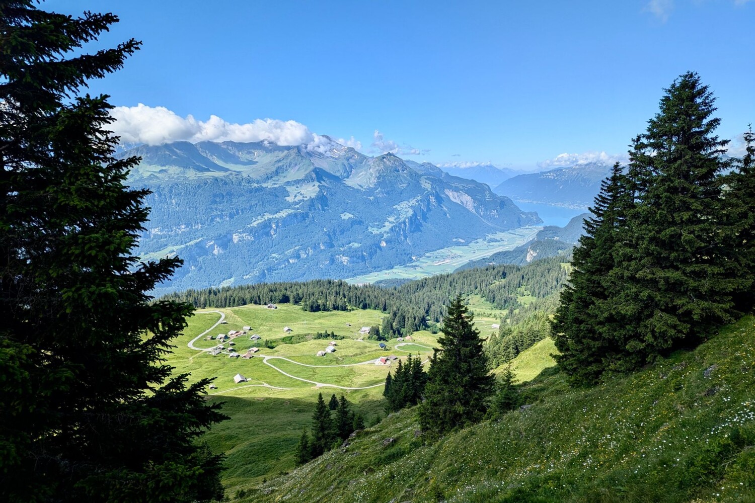 Regard sur Vordere Staffel et le lac de Brienz tout au fond.