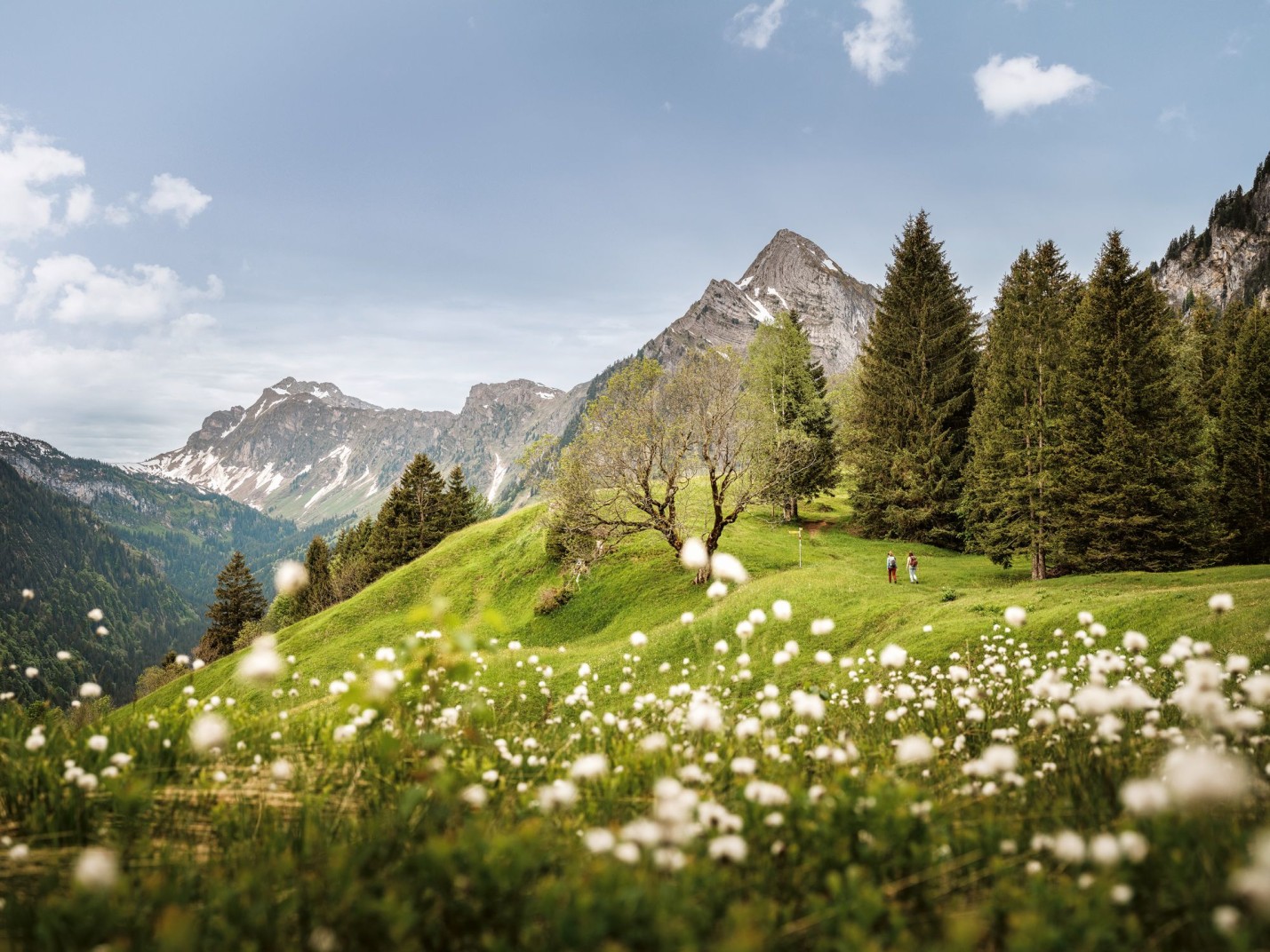 SWW_Spring_2024_1127