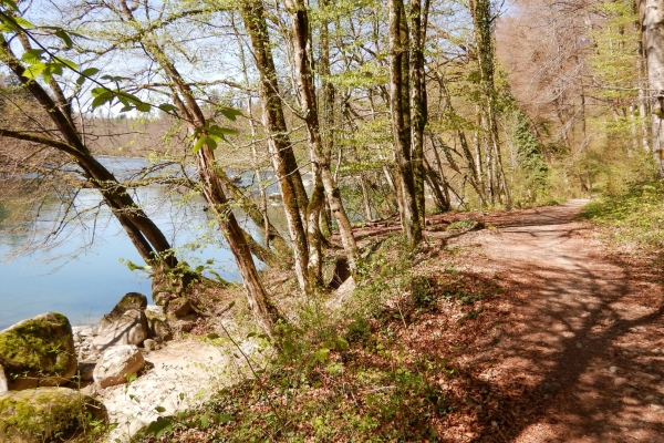 Le long de la Reuss sauvage