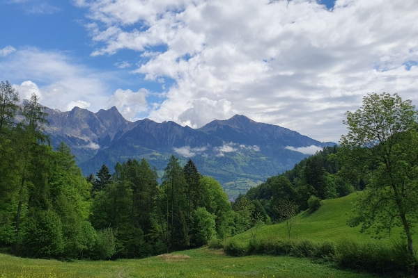 Halbtageswanderung über den Wildboden