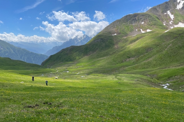 Unterwegs zum wilden Schnittlauch in Samnaun