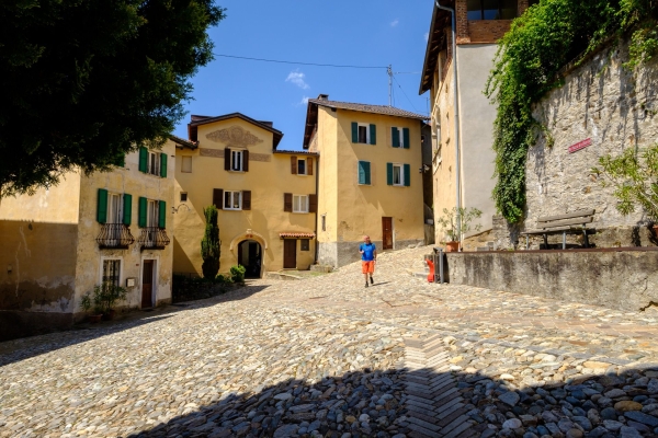 Dalla collina soleggiata al vino