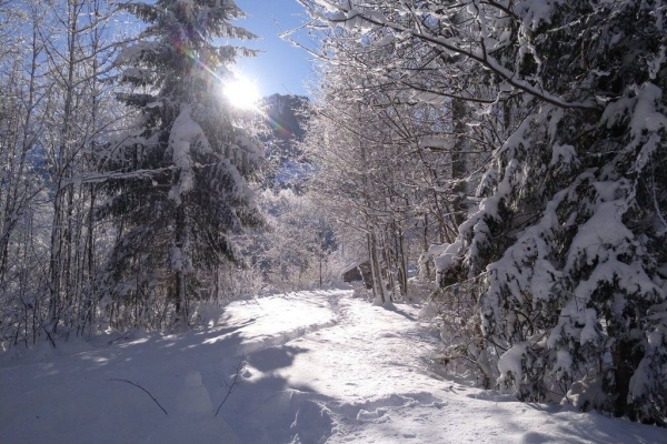 Mit den Schneeschuhen zum Iffigfall