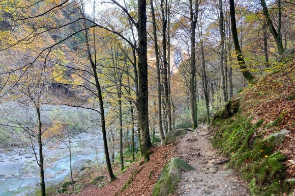 Sur les traces des frères noirs dans le Val Verzasca