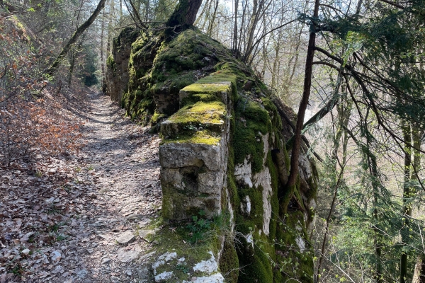 Immersion dans la nature neuchâteloise