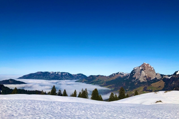 Auf dem Waldhüttli Schneeschuh-Trail über den Stoos SZ
