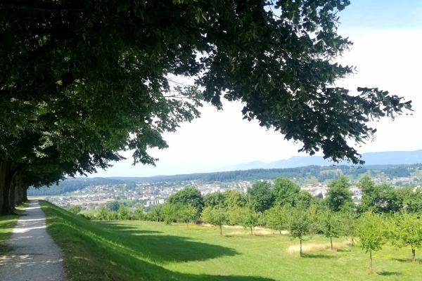 Von Tal zu Tal im Kanton Aargau