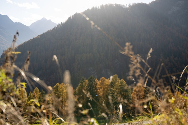 Boucle panoramique au-dessus de Ramosch