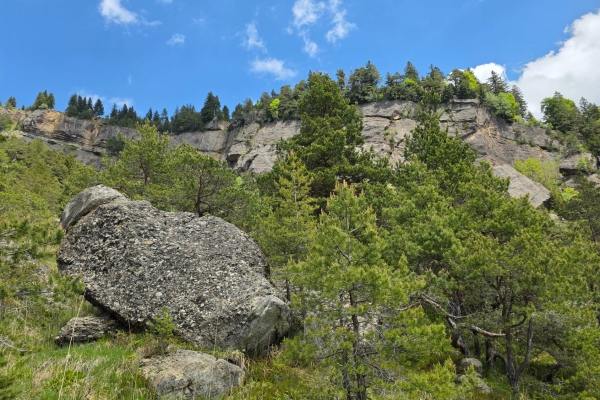 Goldseeli und goldene Schuhe