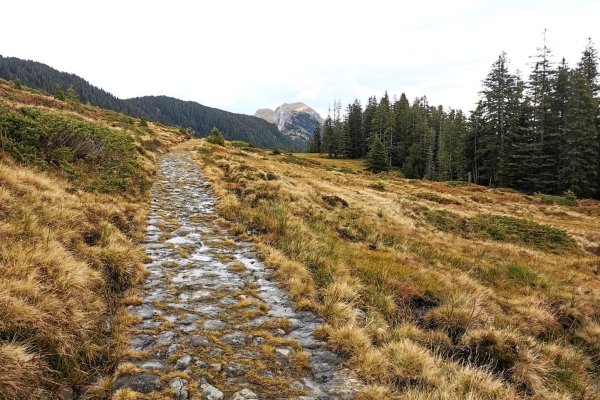 Auf historischem Weg am Pilatus