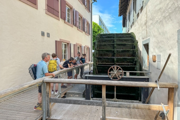 Au printemps près du canal de Sankt Alban